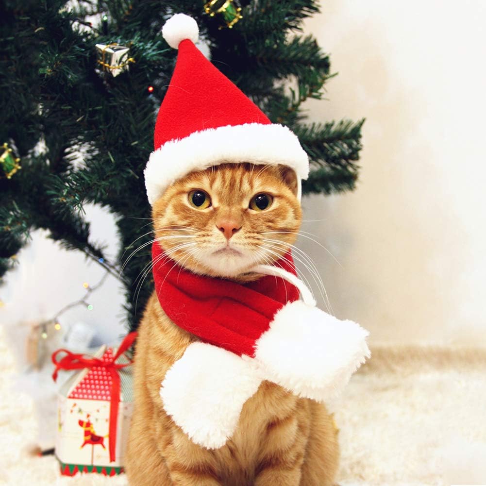 BeePoo Santa Hat & Scarf Set for Small Dogs