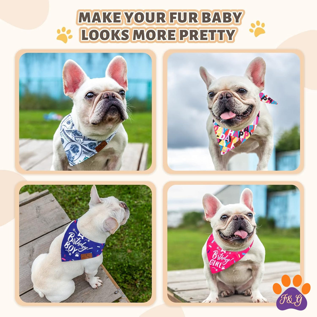 Small dogs wearing bandanas