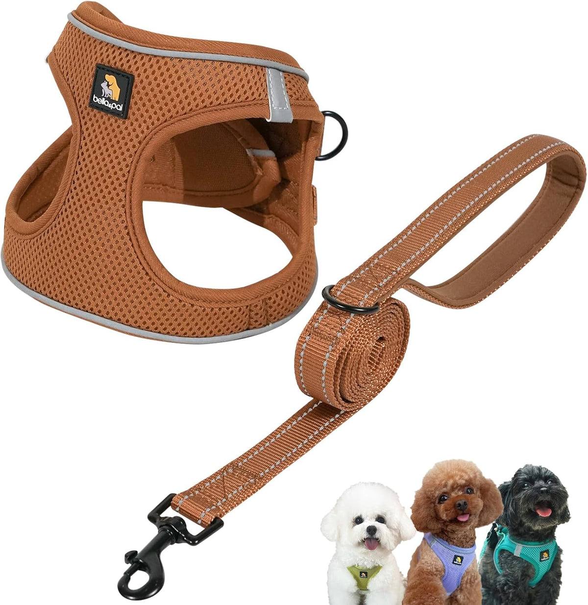 BeePoo Step-In Harness & Leash Set – XS