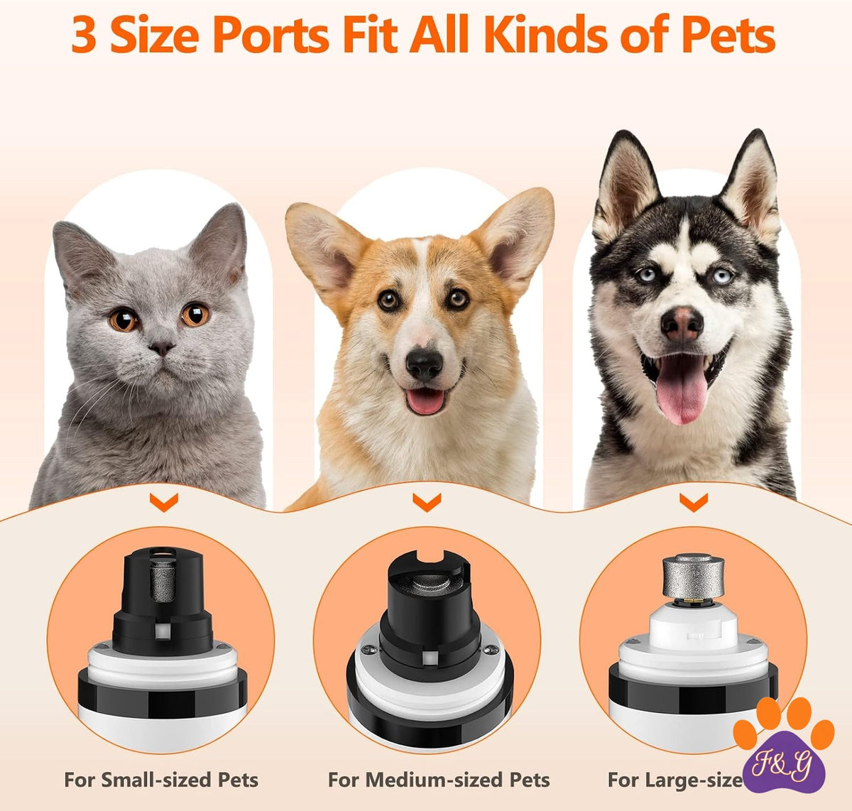 BeePoo Quiet Dog Nail Grinder Kit for Small Dogs – image 3