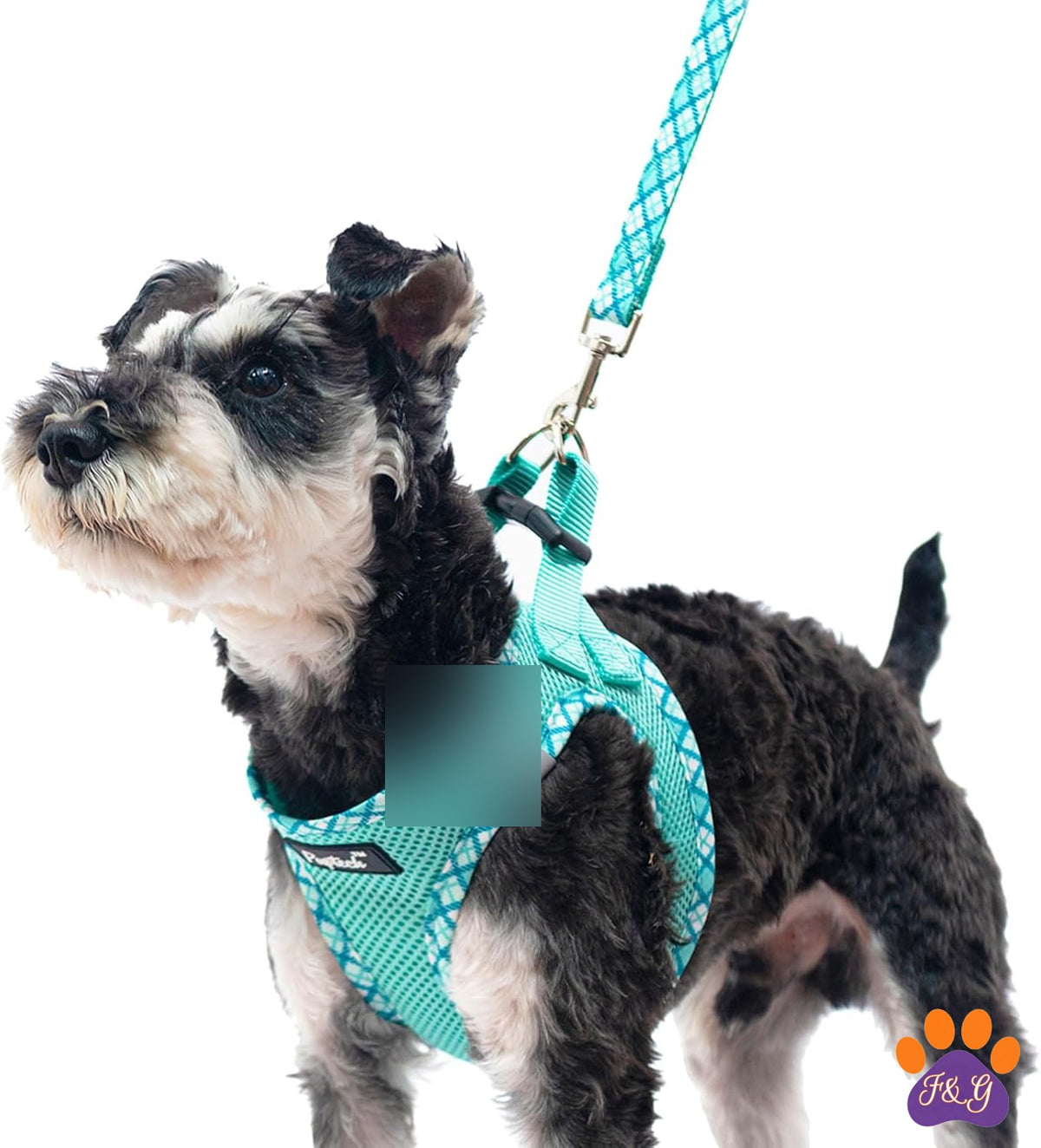 BeePoo Step-In Mesh Harness & Leash Set – Small Dogs – image 1