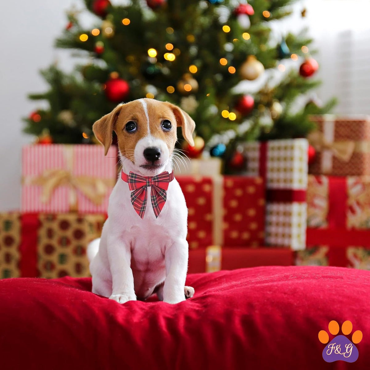 BeePoo Red Plaid Christmas Bow Tie Collar – Small