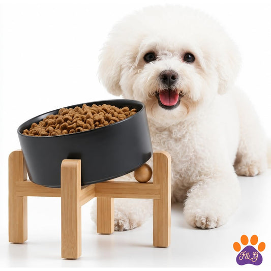 BeePoo Raised Tilted Ceramic Bowl for Small Dogs