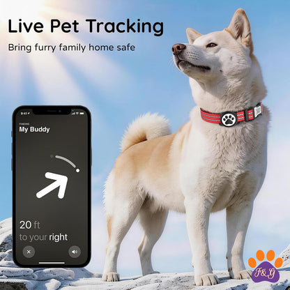 BeePoo AirTag dog collar with QR ID tag