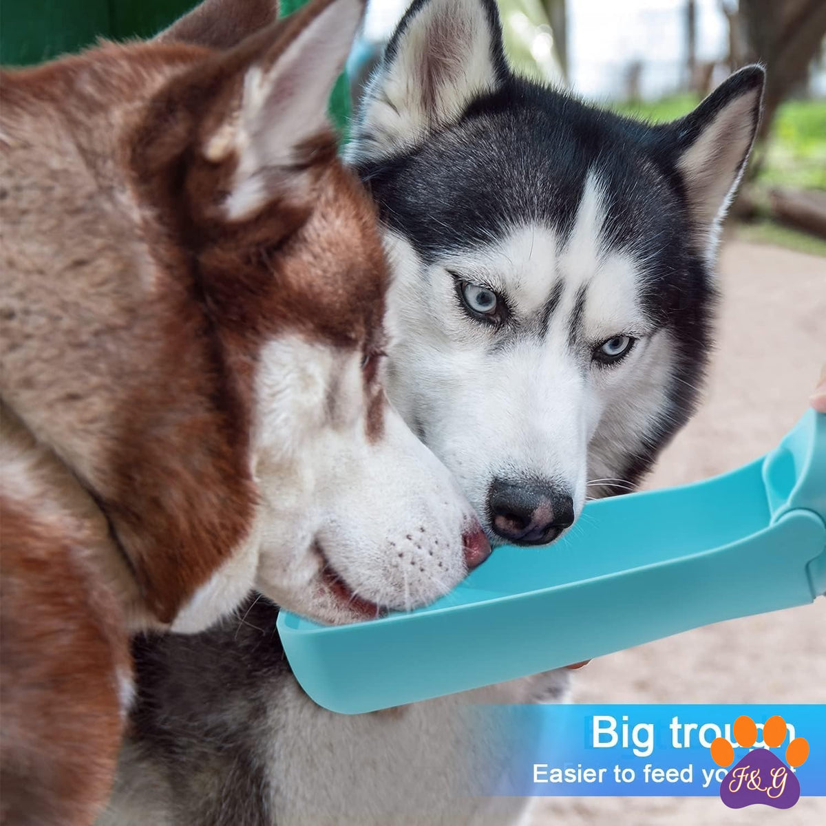 Dog drinking from portable water bottle