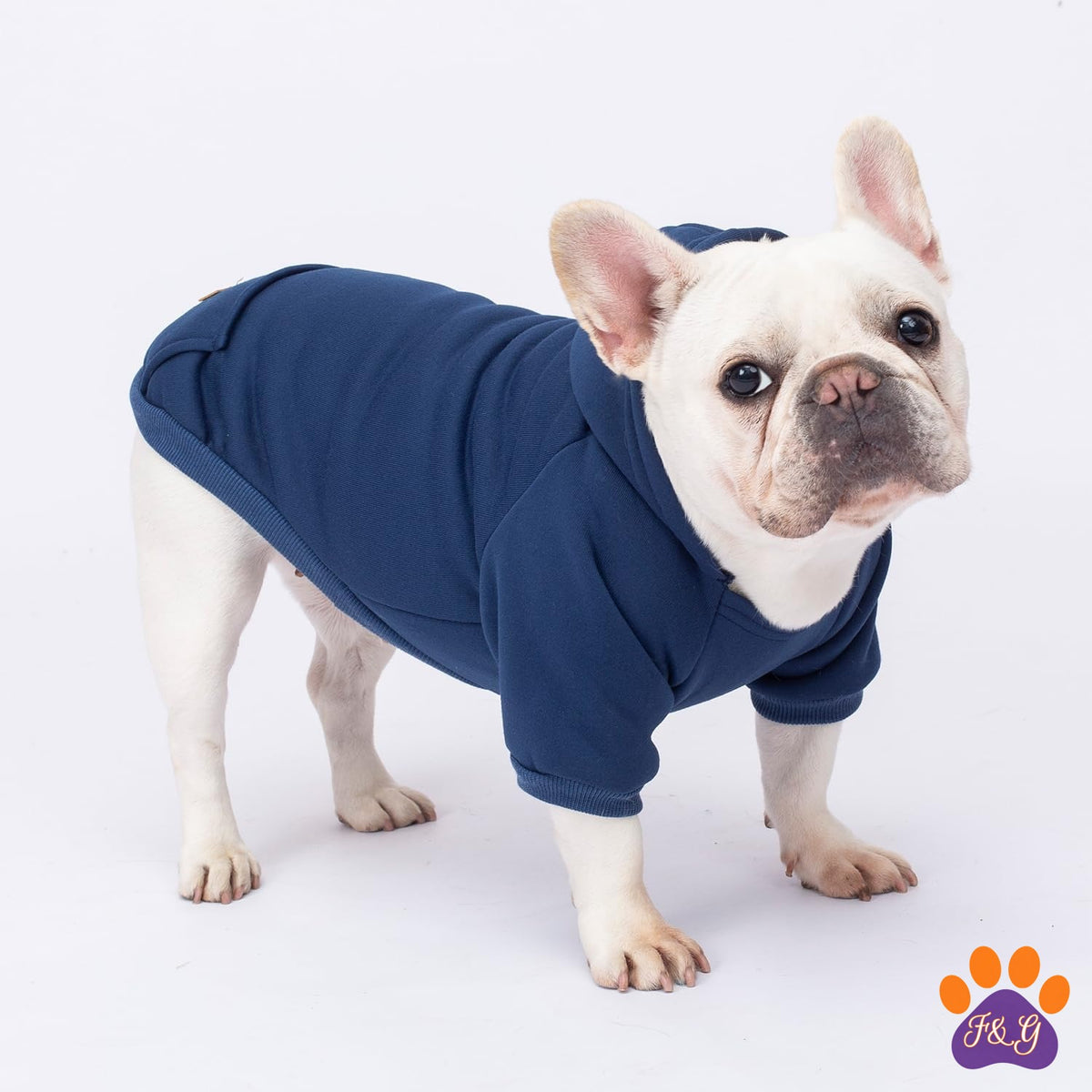 Navy fleece dog hoodie on a small dog