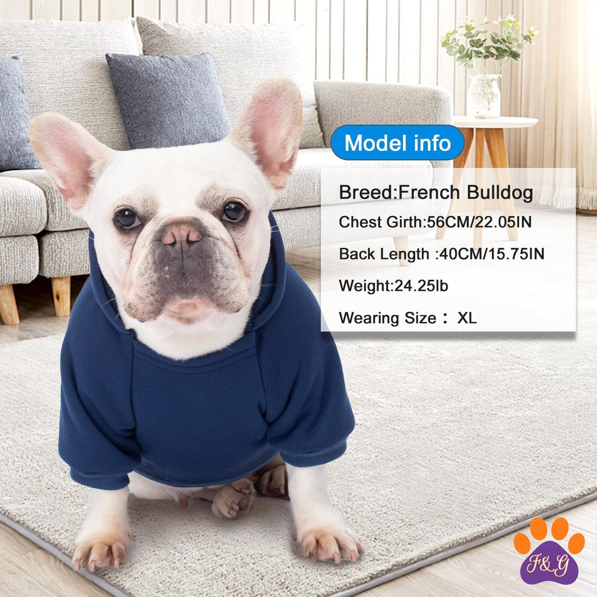 Dog wearing hoodie at home