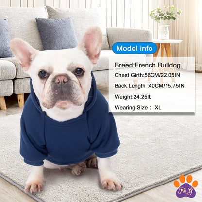 Dog wearing hoodie at home