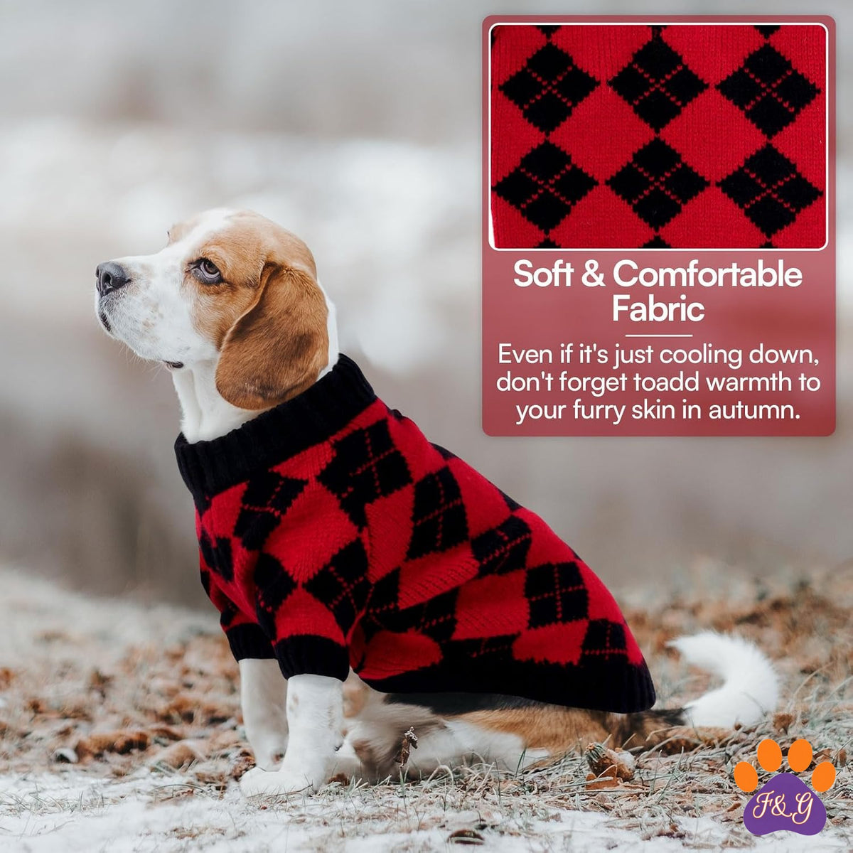 Dog wearing plaid sweater outdoors