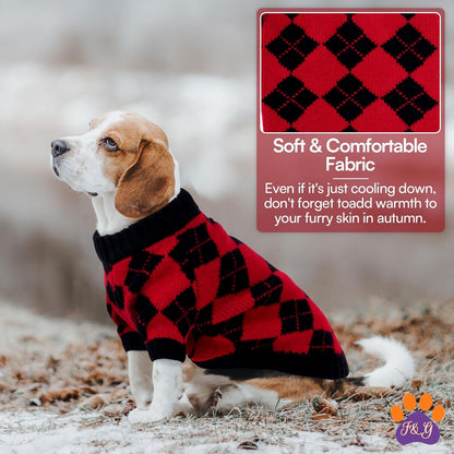 Dog wearing plaid sweater outdoors