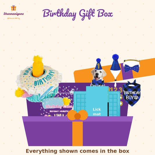 Shannanigans Birthday Gift Box - everything included, shown together