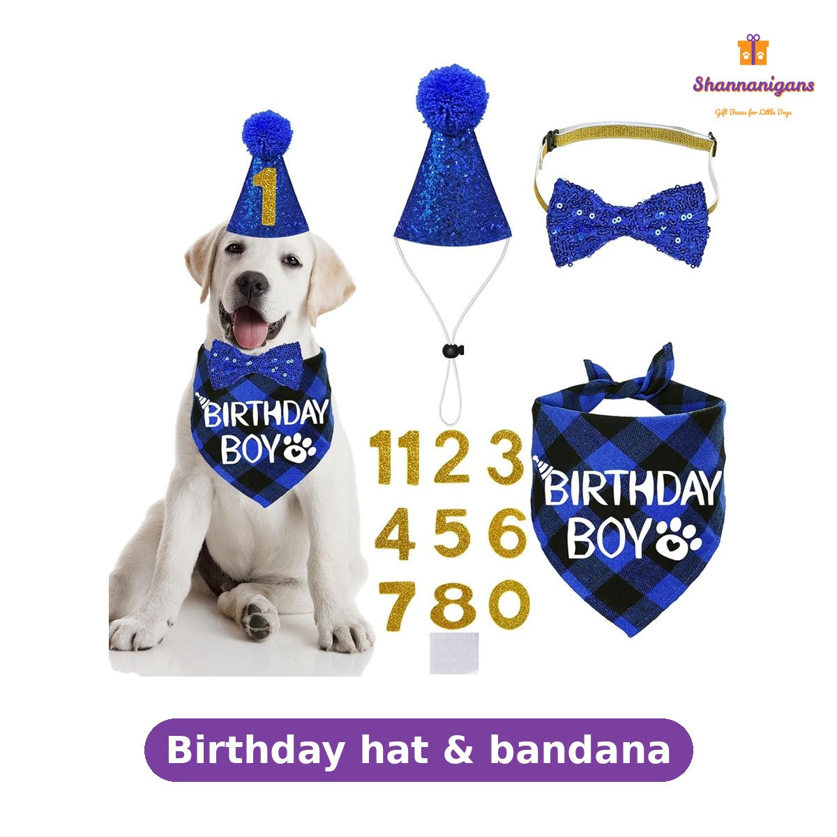 Included in the Birthday Gift Box: Birthday hat and bandana