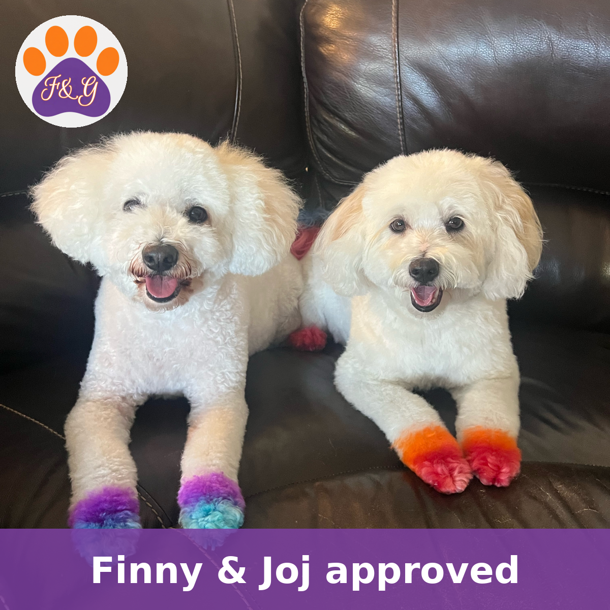 Finny & Joj with dyed paws – Finny & Joj approved