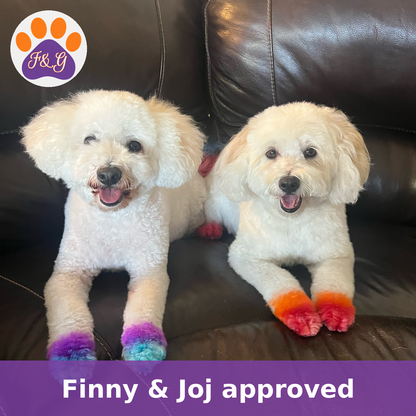 Finny & Joj with dyed paws – Finny & Joj approved