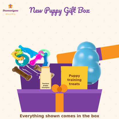 Shannanigans New Puppy Gift Box - everything included, shown together