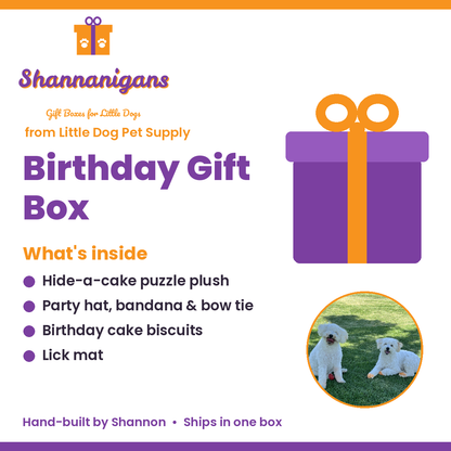 Shannanigans Birthday Gift Box — what's inside, hand-picked by Shannon